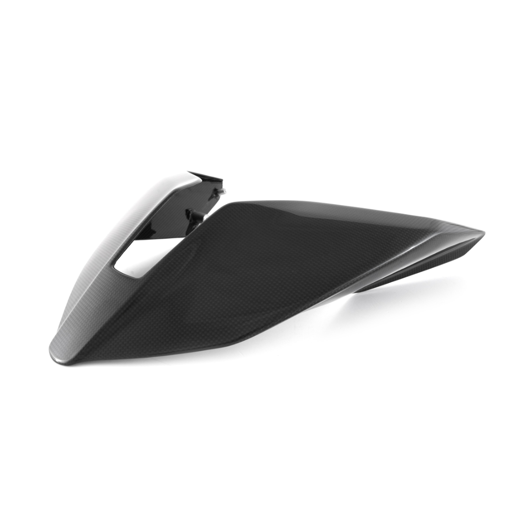 CARBON TAIL DUCATI PANIGALE V4 / S 2025