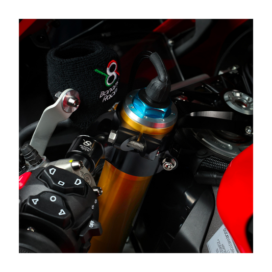NON-RAISED CLIP-ONS - DIAMETER 53 MM DUCATI PANIGALE V4 / S 2025