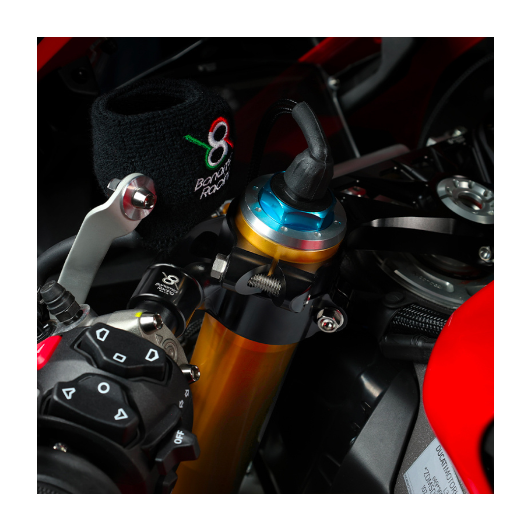 NON-RAISED CLIP-ONS - DIAMETER 53 MM DUCATI PANIGALE V4 / S 2025